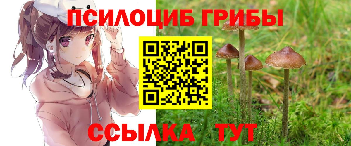 где купить наркотик  Вход с VPN  Псилоцибиновые грибы Psilocybine cubensis  Анапа  Галлюциногенные грибы Cubensis 
